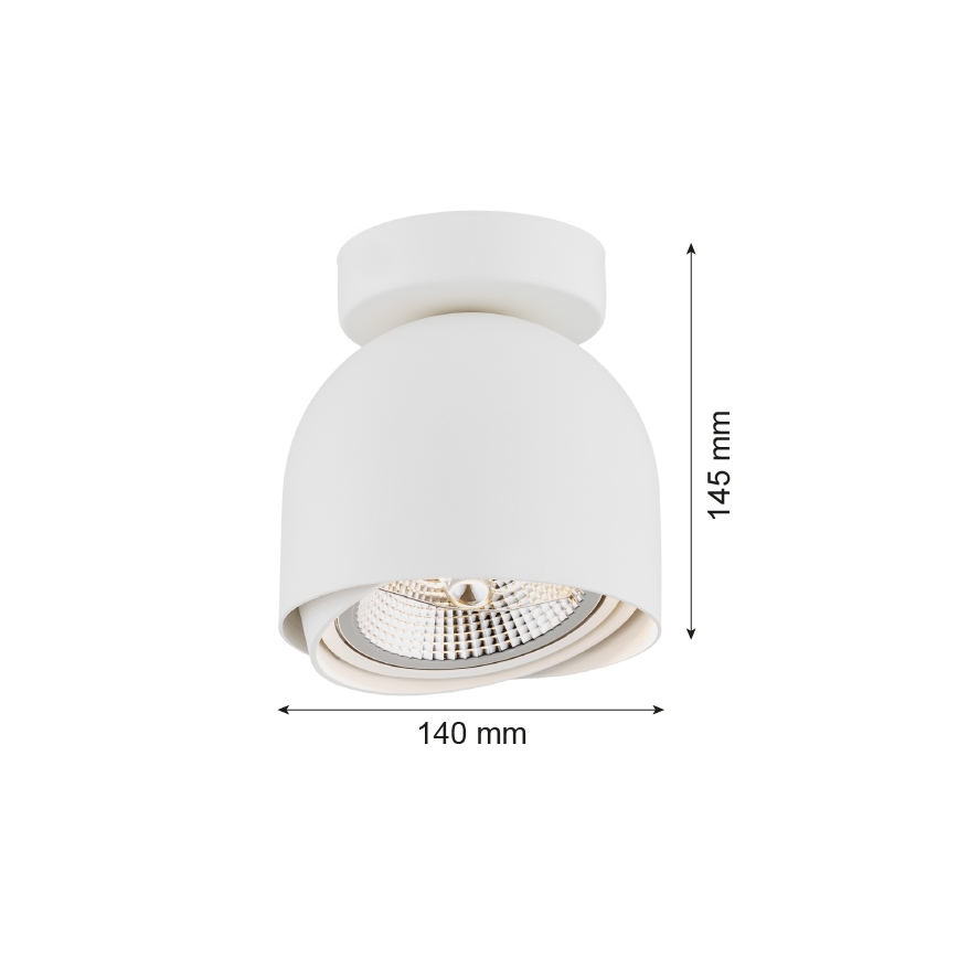 Argon 4710 - Foco GARLAND 1xGU10-AR111/12W/230V branco