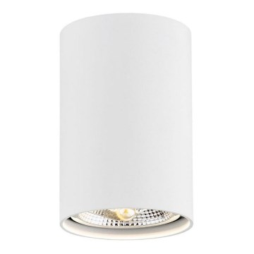 Argon 4910 - Foco TUBO AR111 1xGU10/15W/230V branco