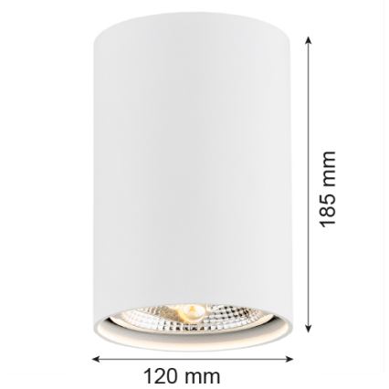 Argon 4910 - Foco TUBO AR111 1xGU10/15W/230V branco