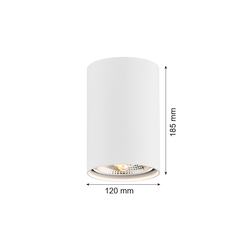 Argon 4910 - Foco TUBO AR111 1xGU10/15W/230V branco