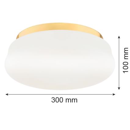 Argon 6142 - Iluminação de teto OMBRA 3xE27/15W/230V dourado/branco