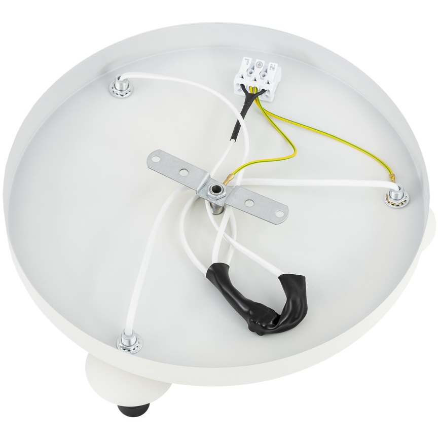 Argon 6291 - Iluminação de teto FABIO 3xE14/7W/230V alabastro branco