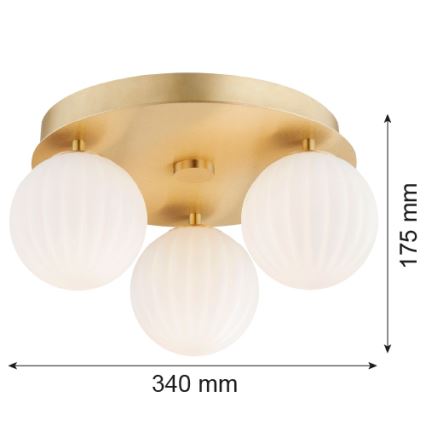 Argon 6305 - Iluminação de teto PALOMA 3xE14/7W/230V dourado/branco