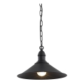 Argon 631 - Candelabro numa corrente ERBA 1xE27/60W/230V