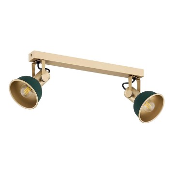 Argon 7143 - Foco LENORA 2xE14/7W/230V dourada/verde