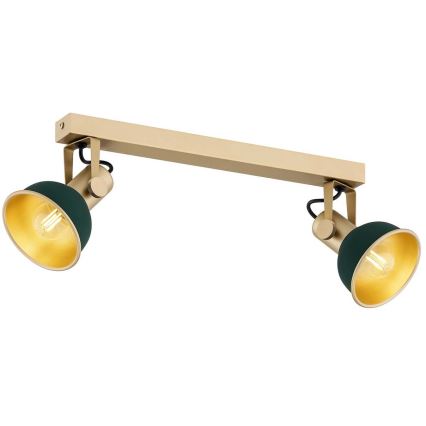 Argon 7143 - Foco LENORA 2xE14/7W/230V dourada/verde