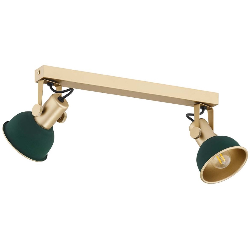 Argon 7143 - Foco LENORA 2xE14/7W/230V dourada/verde