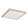 Argon 7167 - Iluminação de teto CARLSON 2xE27/15W/230V 29x29 cm dourada