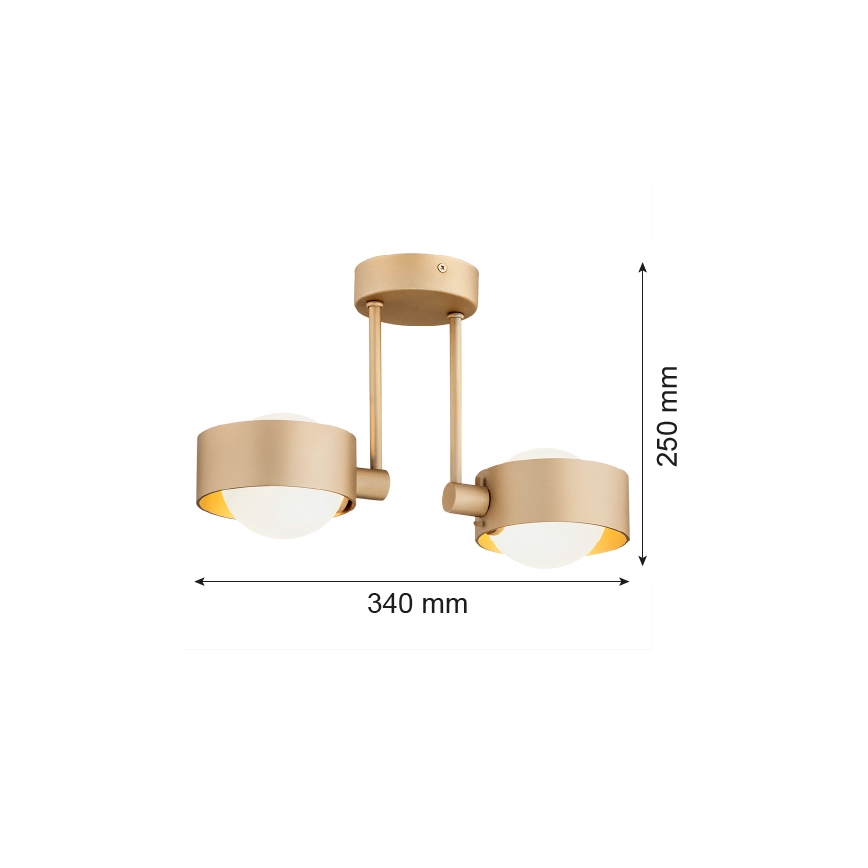 Argon 7215 - Candeeiro suspenso para casa de banho MASSIMO PLUS 2xG9/6W/230V IP44 dourado