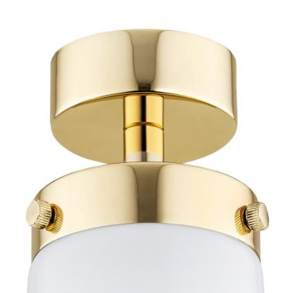 Argon 8005 - Candelabro montado à superfície PASADENA 1xE27/15W/230V dourado/branco