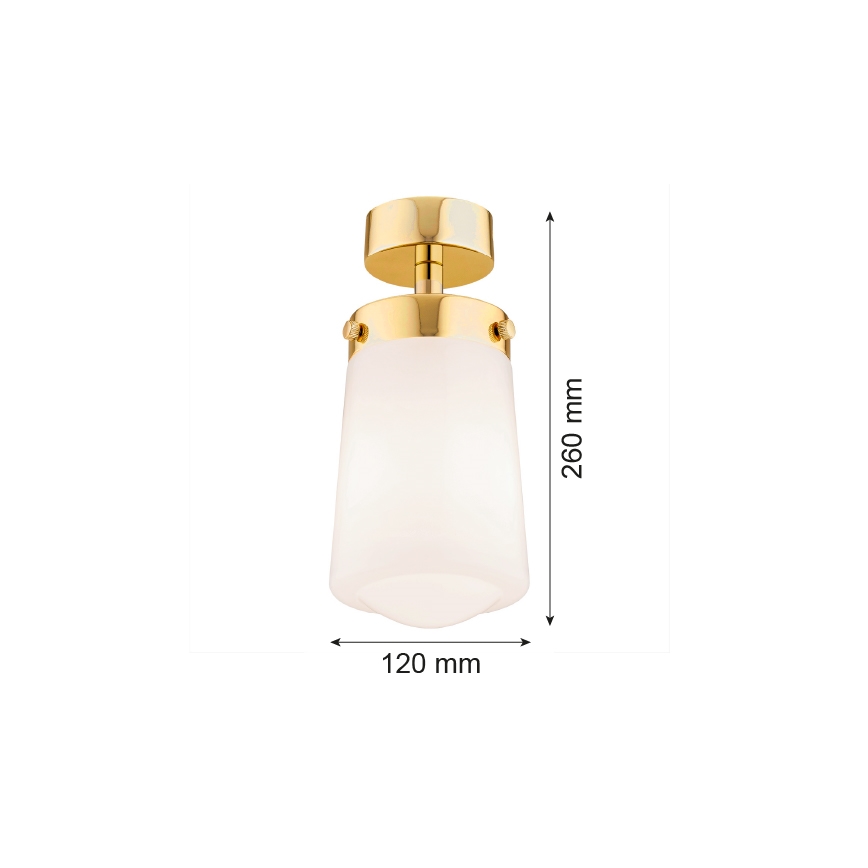 Argon 8005 - Candelabro montado à superfície PASADENA 1xE27/15W/230V dourado/branco