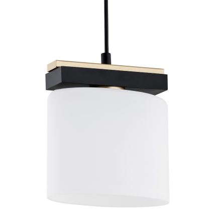Argon 8276 - Candelabro suspenso CANOA 1xE27/15W/230V preto