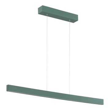 Argon 8305 - Candelabro suspenso LED BALANS LED/35W/230V 3000K verde