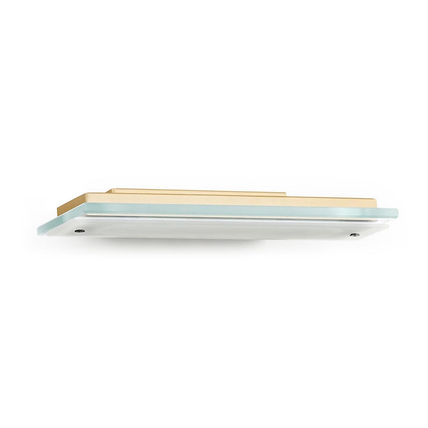 Argon 8363 - Iluminação de parede LED VELO LED/7,2W/230V 3000K dourada/clear