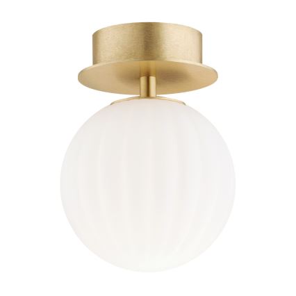 Argon 8504 - Iluminação de parede PALOMA 1xE14/7W/230V dourado/branco