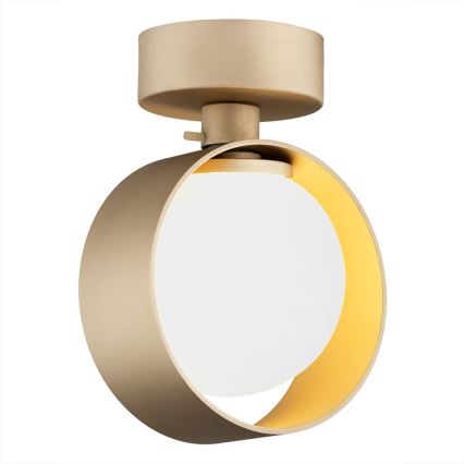 Argon 8567 - Iluminação de parede de casa de banho MASSIMO PLUS 1xG9/6W/230V IP44 dourado