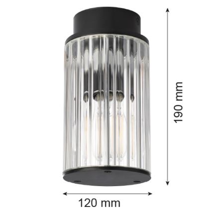 Argon 8773 - Iluminação de teto exterior NORFOLK 1xE27/15W/230V IP44 preto