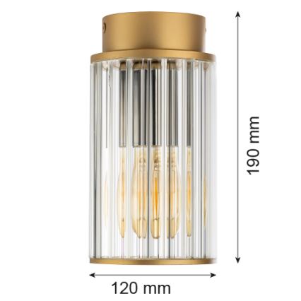 Argon 8774 - Iluminação de teto exterior NORFOLK 1xE27/15W/230V IP44 dourado