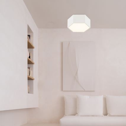 Argon 8781 - Iluminação de teto LED LIBERO LED/12W/230V 3000K branco
