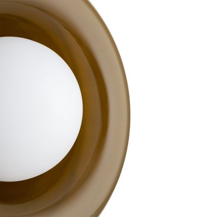 Argon 8811 - Iluminação de parede TEVO 1xG9/4,5W/230V castanho