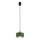 Argon 8815 - Candeeiro suspenso TEVO 1xG9/4,5W/230V verde