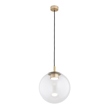 Argon 8828 - Candeeiro suspenso SACRAMENTO 1xGX53/8W/230V transparente/dourado