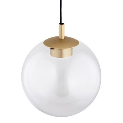 Argon 8828 - Candeeiro suspenso SACRAMENTO 1xGX53/8W/230V transparente/dourado