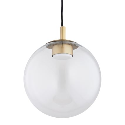 Argon 8828 - Candeeiro suspenso SACRAMENTO 1xGX53/8W/230V transparente/dourado