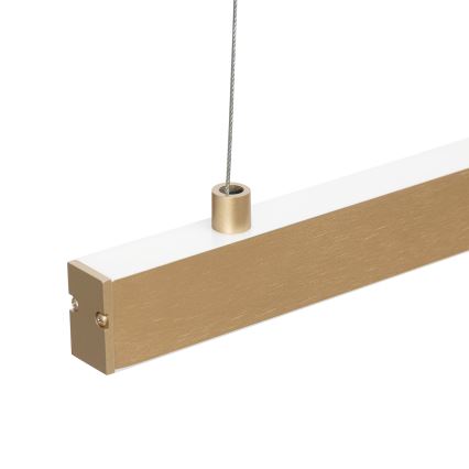 Argon 8836 - Candeeiro suspenso LED MIAMI LED/37W/230V 3000K dourado