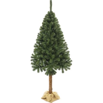 Árvore de Natal num tronco 160 cm abeto
