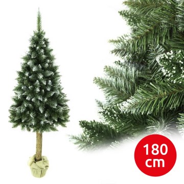 Árvore de Natal num tronco 180 cm abeto