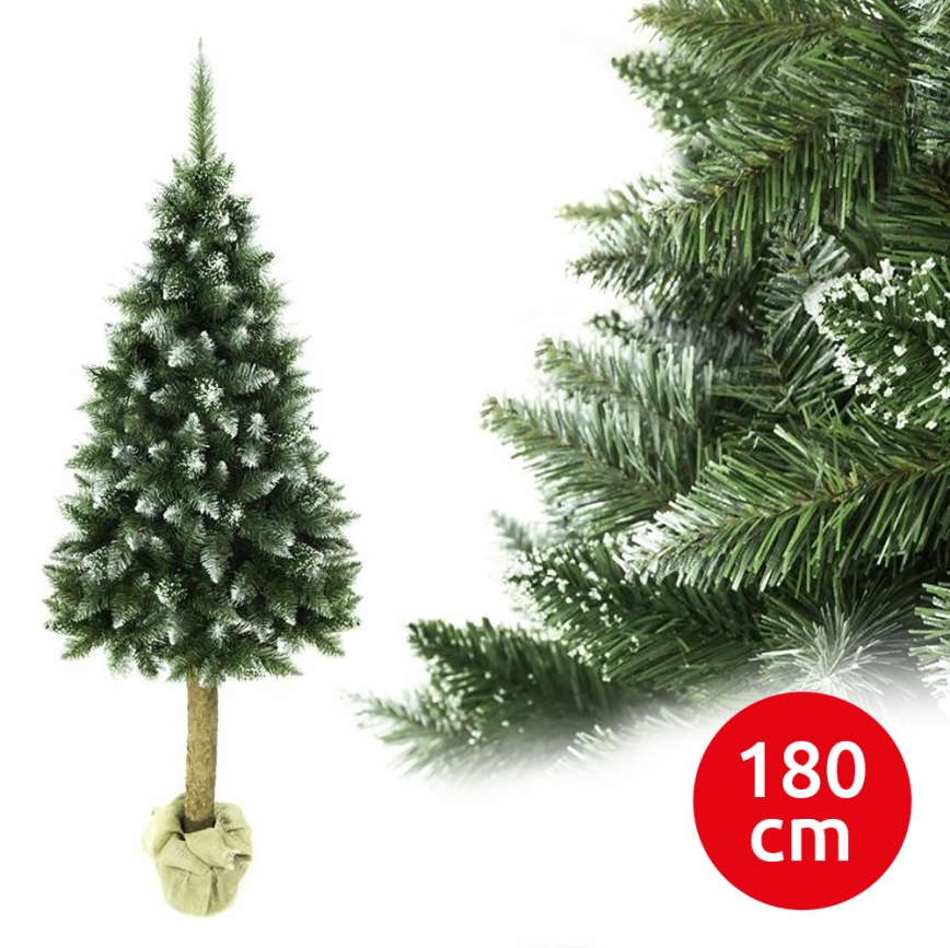 Árvore de Natal num tronco 180 cm abeto