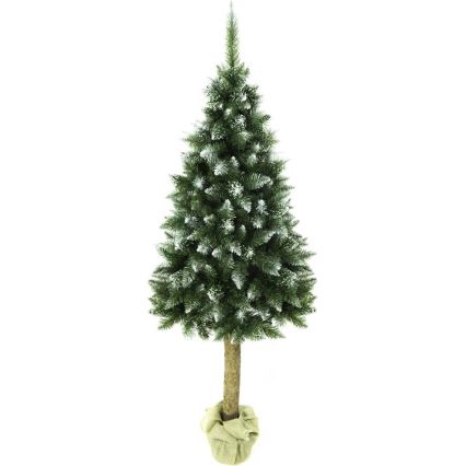 Árvore de Natal num tronco 180 cm abeto