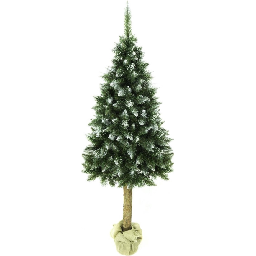 Árvore de Natal num tronco 180 cm abeto