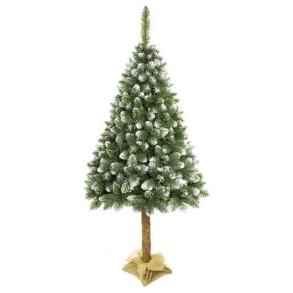Árvore de Natal num tronco 180 cm pinheiro