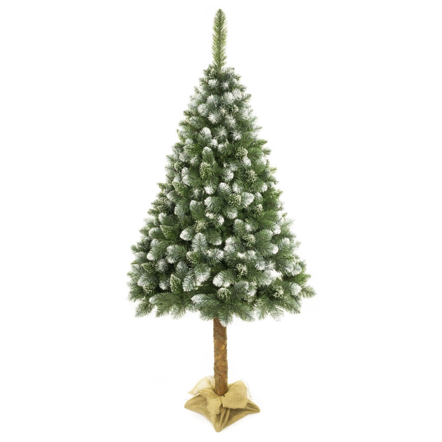 Árvore de Natal num tronco 180 cm pinheiro