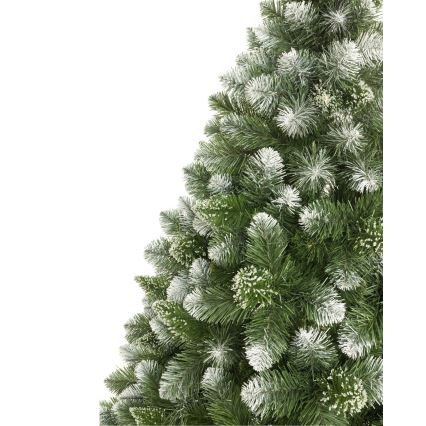 Árvore de Natal num tronco 180 cm pinheiro