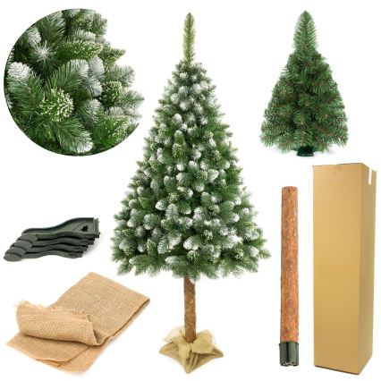 Árvore de Natal num tronco 180 cm pinheiro