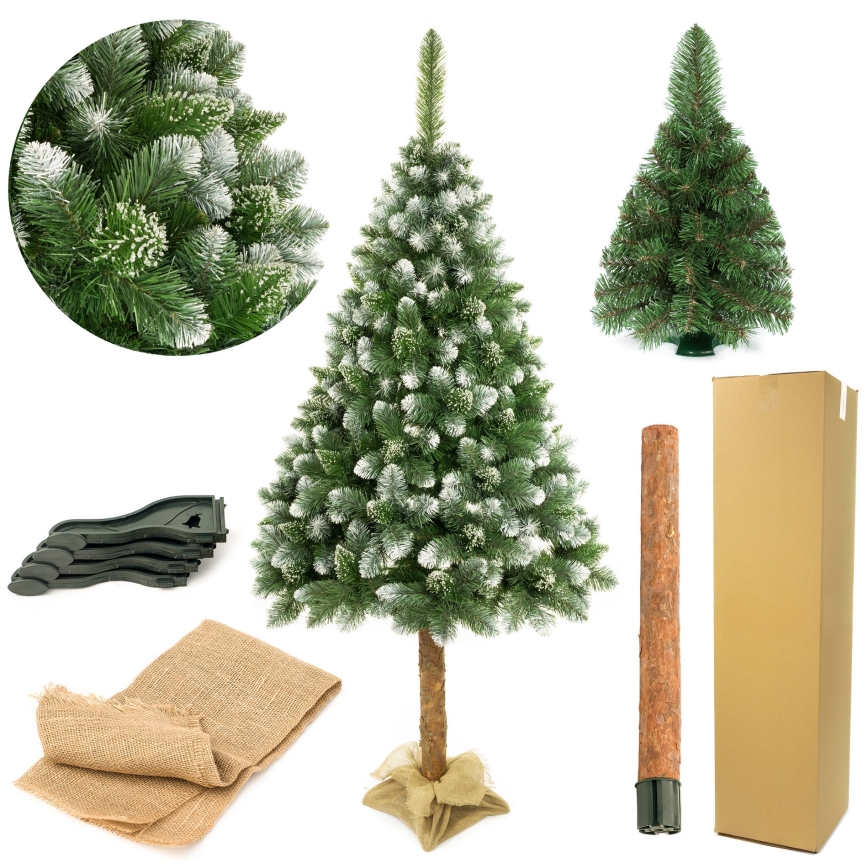 Árvore de Natal num tronco 180 cm pinheiro