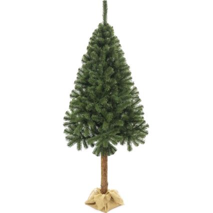 Árvore de Natal num tronco 220 cm abeto