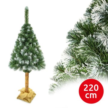 Árvore de Natal num tronco 220 cm pinho