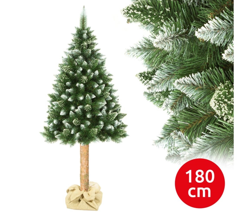 Árvore de Natal sobre um tronco 180 cm pinheiro