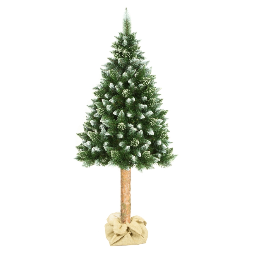 Árvore de Natal sobre um tronco 180 cm pinheiro