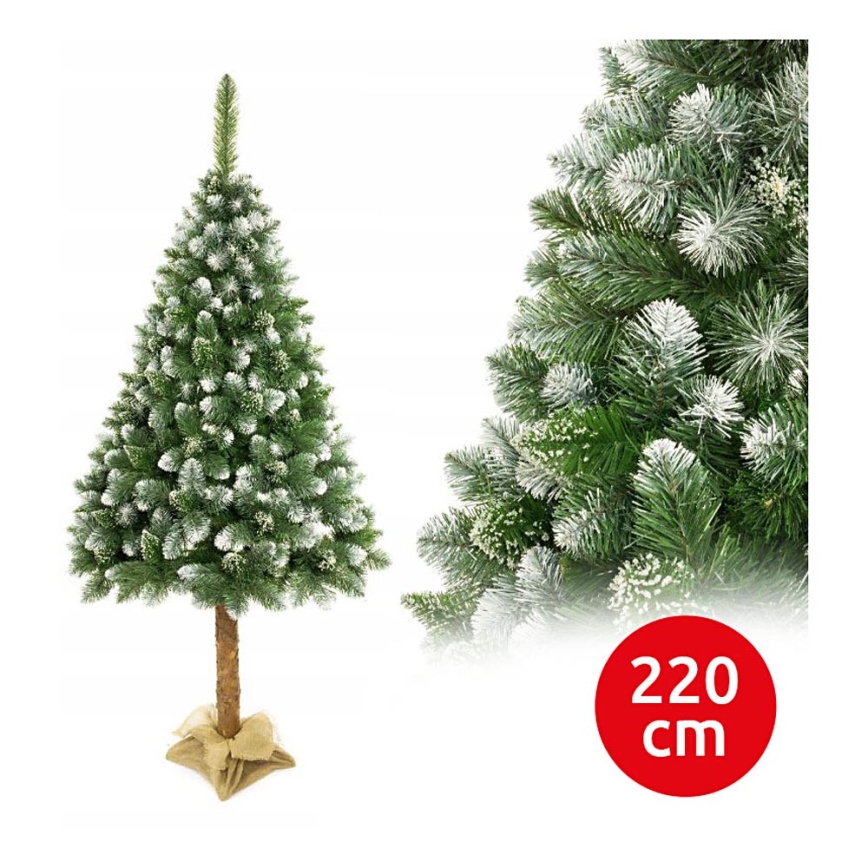 Árvore de Natal sobre um tronco 220 cm pinheiro