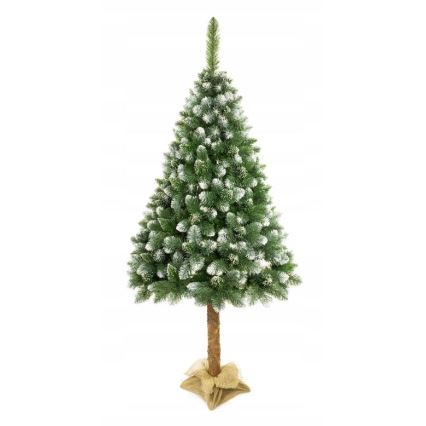 Árvore de Natal sobre um tronco 220 cm pinheiro