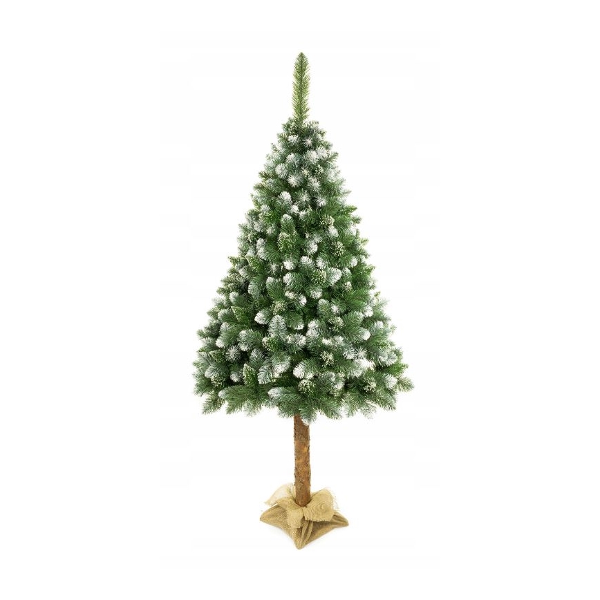 Árvore de Natal sobre um tronco 220 cm pinheiro