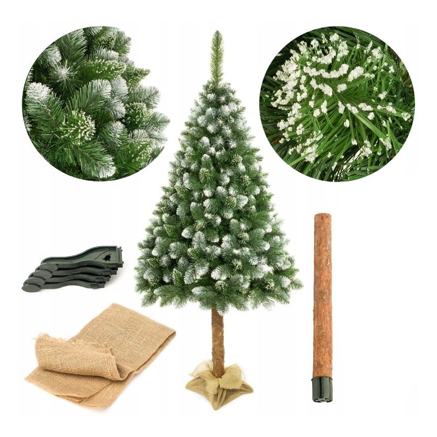 Árvore de Natal sobre um tronco 220 cm pinheiro
