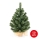 Árvore de Natal XMAS TREES 50 cm pinheiro