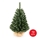 Árvore de Natal XMAS TREES 70 cm pinheiro