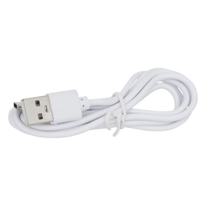 Atmosphera - Candeeiro de mesa LED RGBW para exterior ZACK LED/3,7V 1200 mAh IP44 turquesa